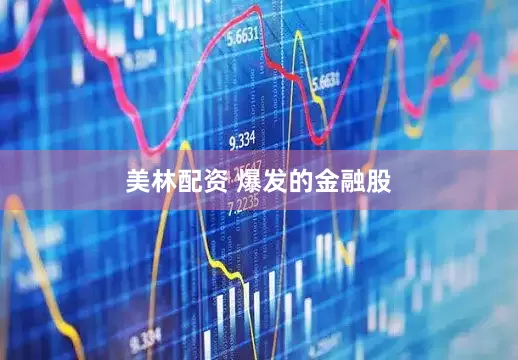 美林配资 爆发的金融股