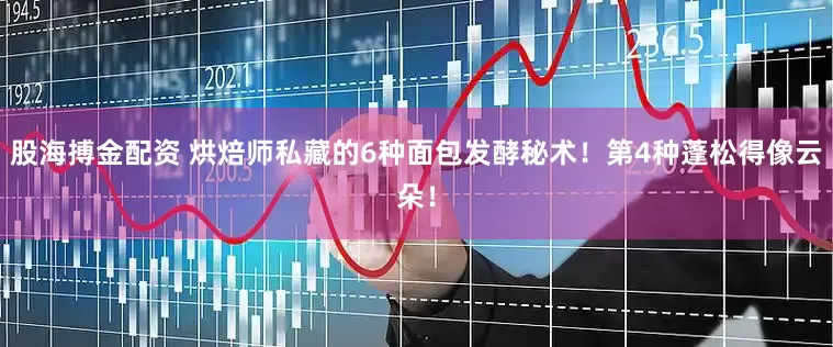 股海搏金配资 烘焙师私藏的6种面包发酵秘术！第4种蓬松得像云朵！